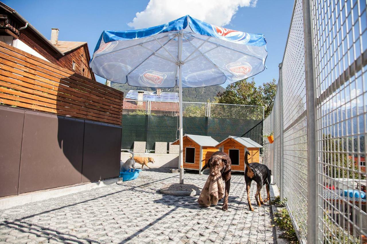 Ferienwohnung Bei Cooldog Imst Extérieur photo