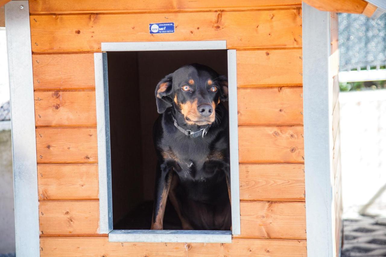 Ferienwohnung Bei Cooldog Imst Extérieur photo